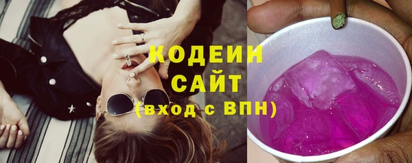 2c-b Новозыбков