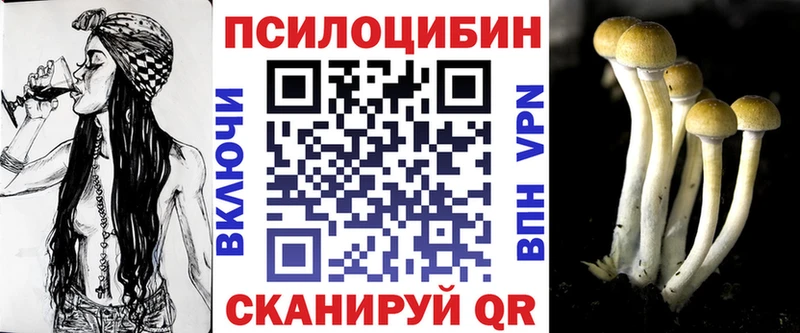 Псилоцибиновые грибы Cubensis  Ревда 